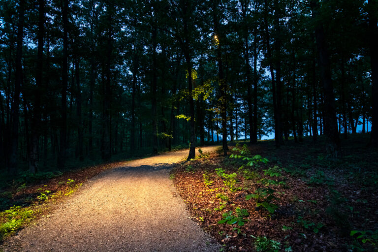 Driveway Down Lighting in Brentwood, TN