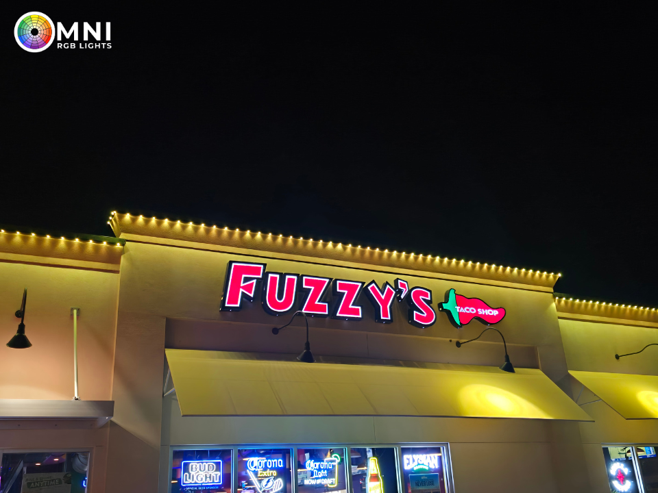 Permanent Holiday Lighting Light TN
