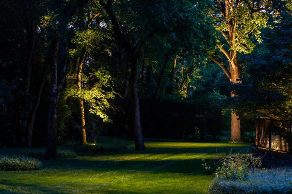 How to Illuminate Your Backyard with LED Lights in Belle Meade
